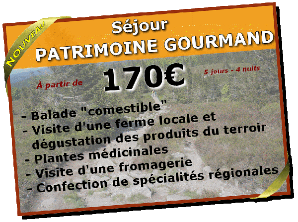 La Source du Tampa - S&eacute;jour Patrimoine Gourmand